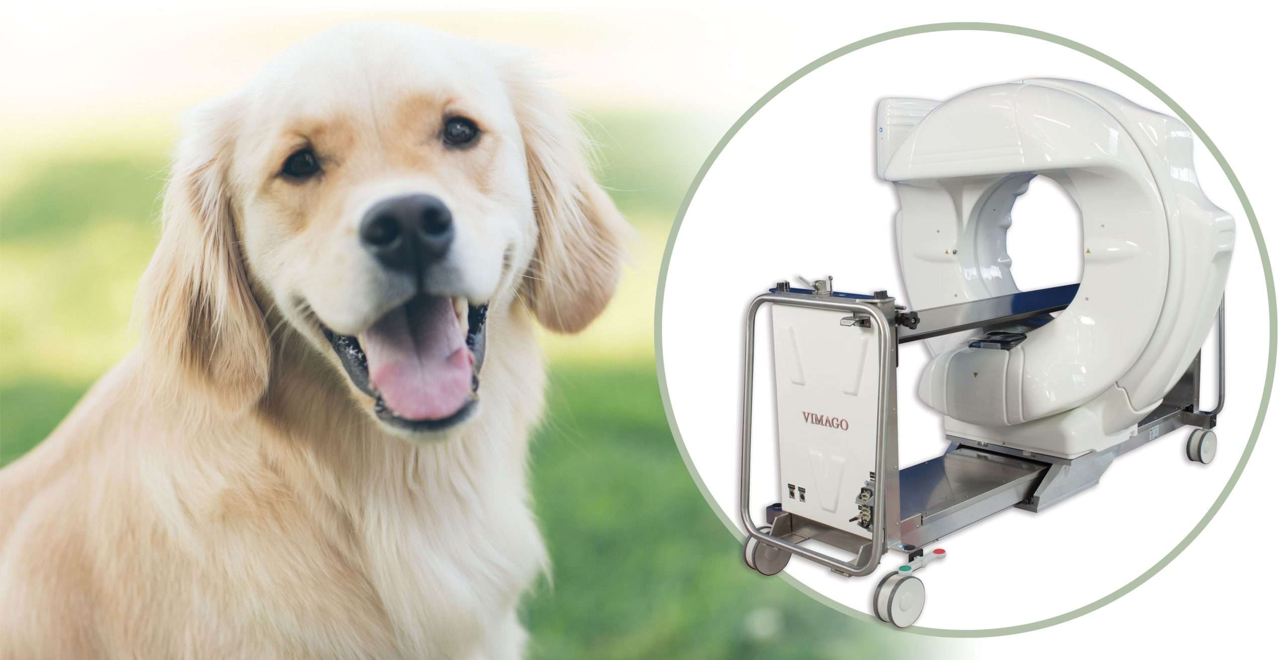 GT30-CT Photo with dog