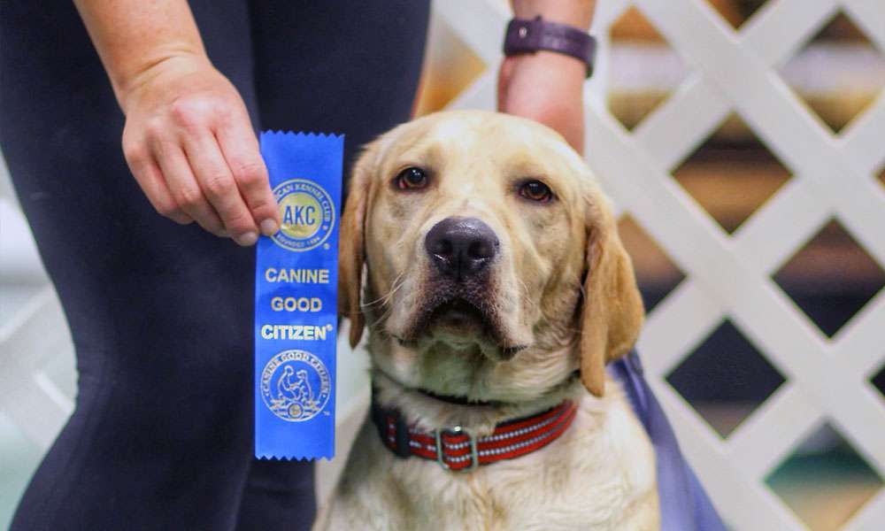 photo of a dog and an award