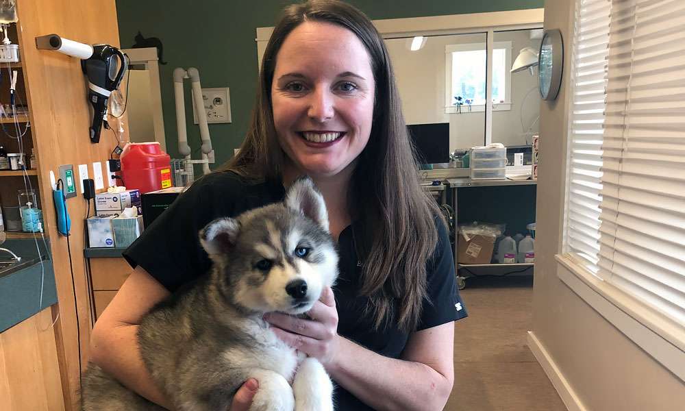 photo of a veterinarians holding a puppy