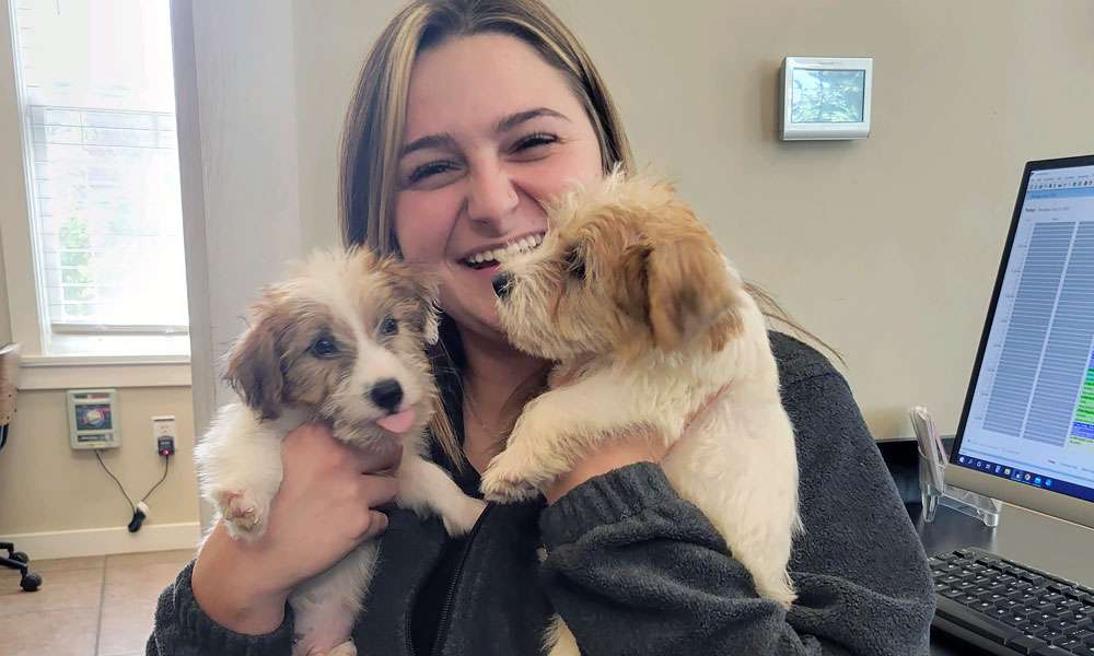 photo of a woman holding two puppies