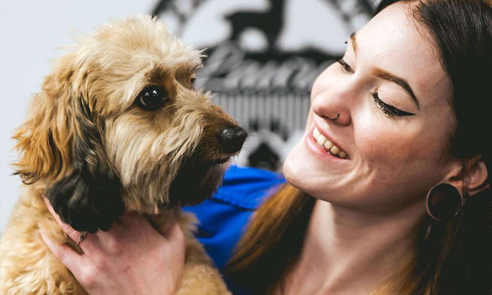 photo of a woman looking lovingly at a dog