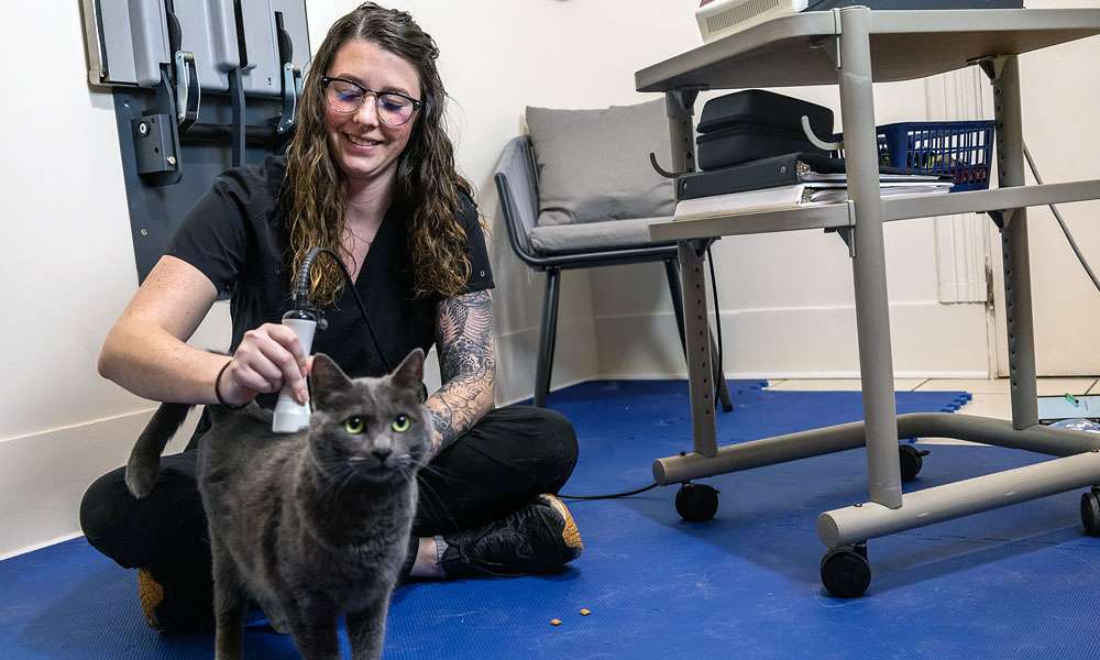 photo of a woman using ultrasound on a cat