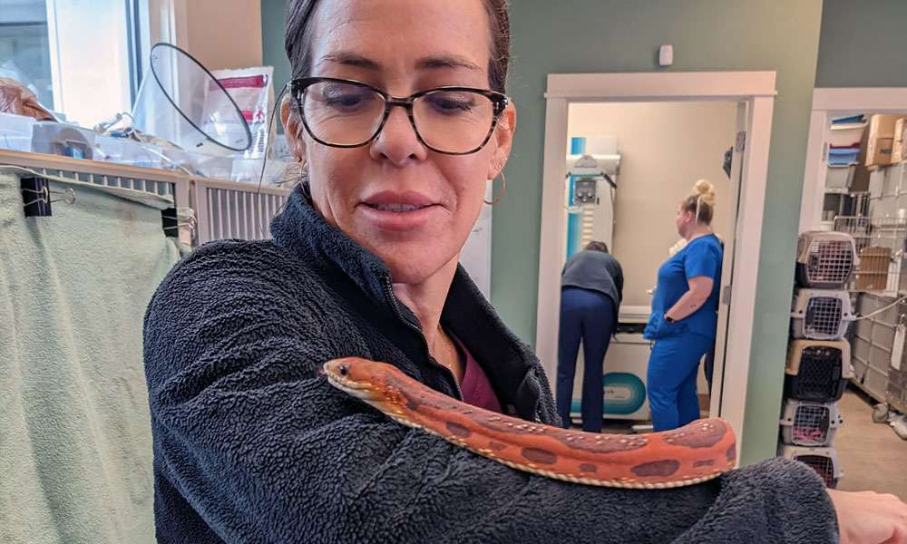 photo of a woman with a snake