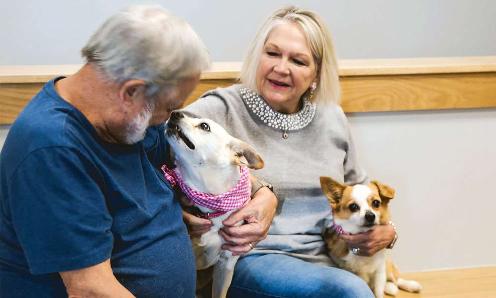 photo of couple and their dogs