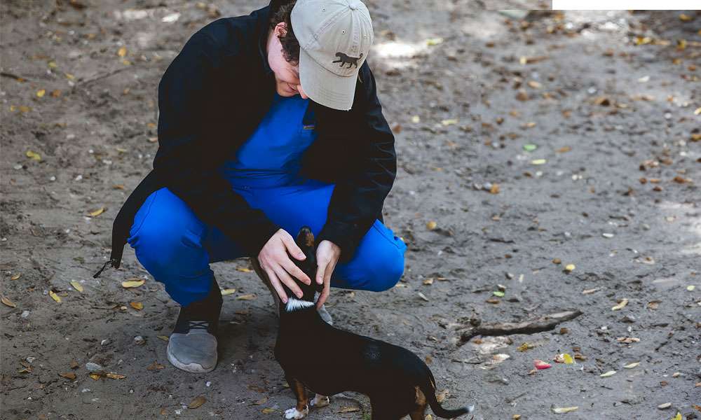 photo of man petting a small dog