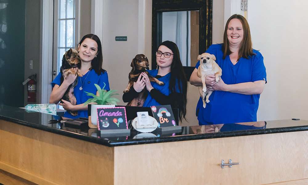 photo of reception area and women holding dogs