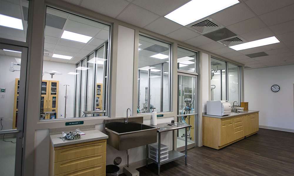 photo of surgical suites