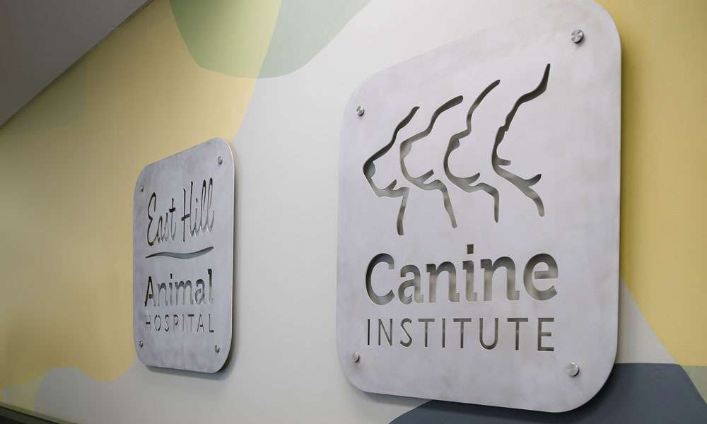 photo of the Canine Institute logo on a wall