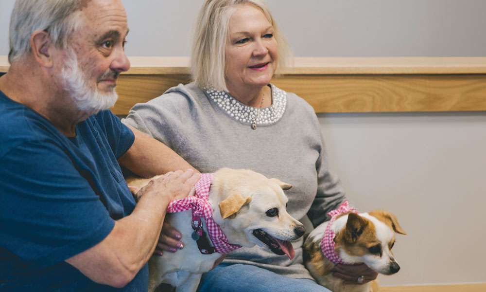 photo of two adults and their dogs