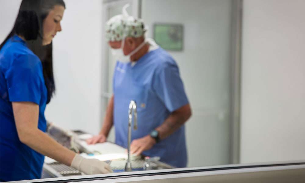 photo of veterinarians preparing for dental surgery