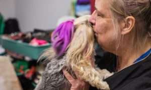 photo of a pet groomer kissing a small dog