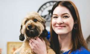 photo of a happy dog and groomer