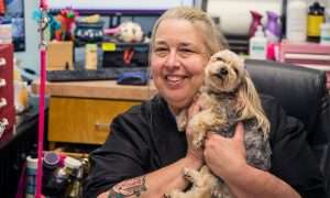 photo of a happy groomed small dog