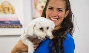 photo of a white dog after grooming