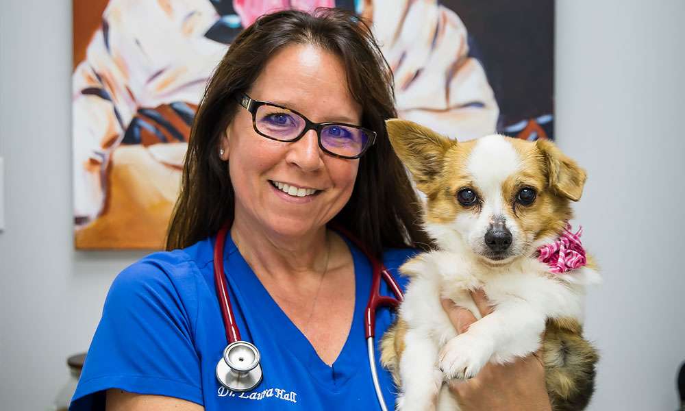 photo of Dr Laura holding a small dog