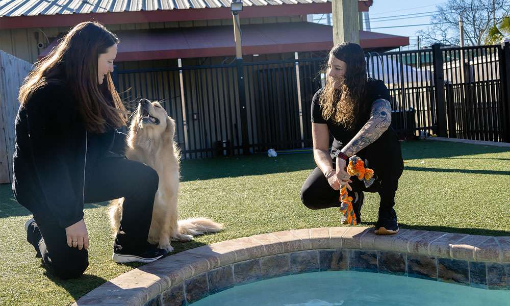 photo of two women using pool canine therapy
