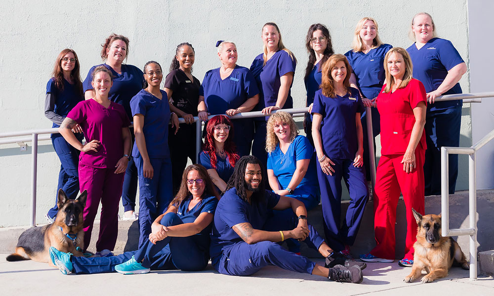 East Hill Animal Hospital and Canine Institute staff group photo shot