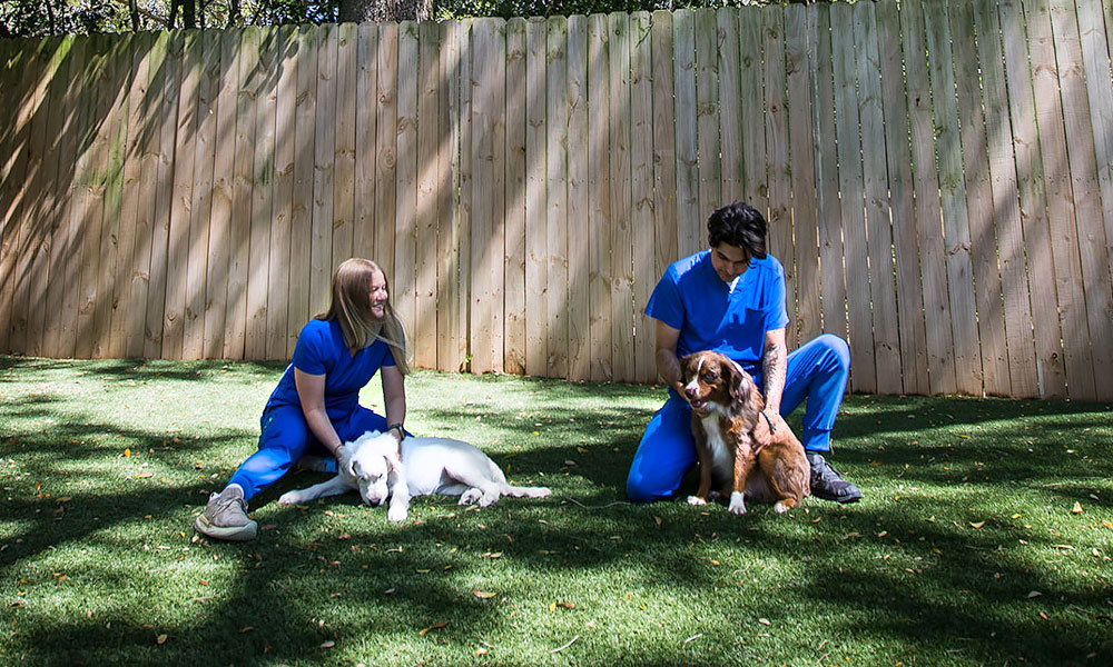 photo of two dog trainers and their dogs