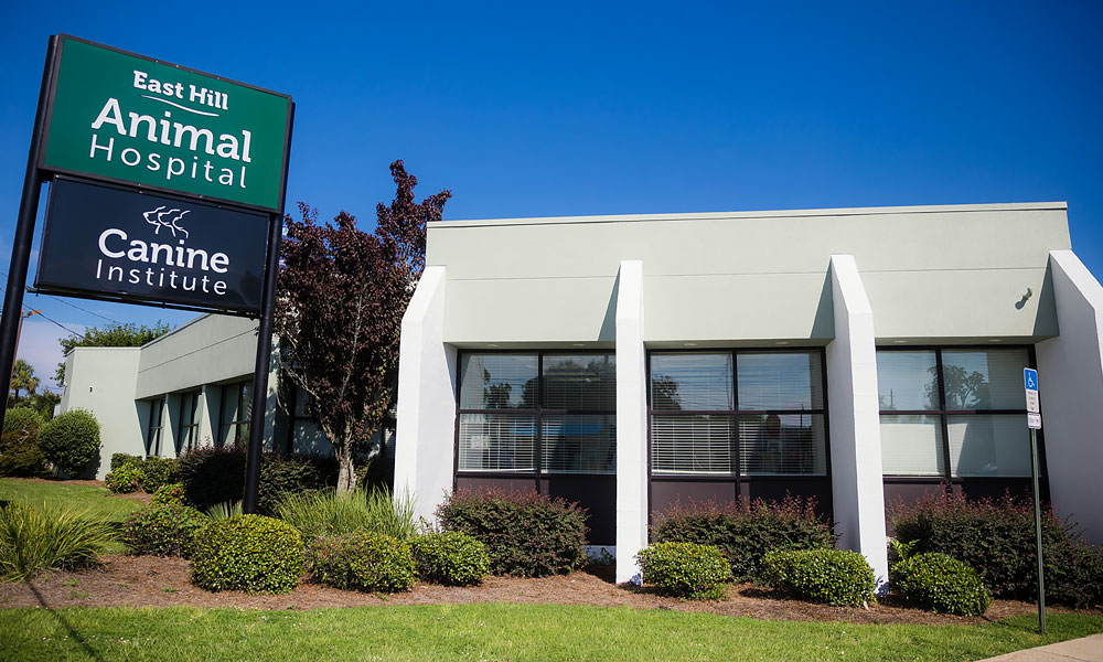 outdoors photo of East Hill animal hospital and the Canine Institute