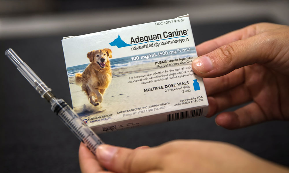 photo of Adequan Canine for injections