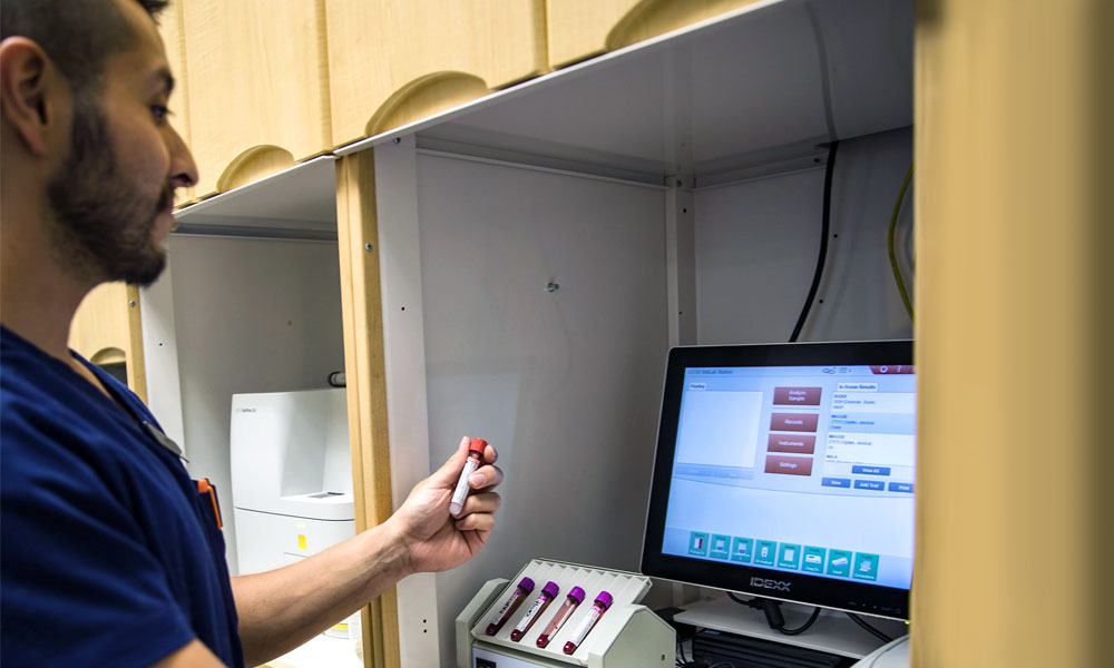 photo of technician testing blood samples