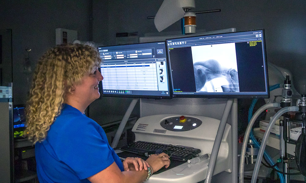 photo of veterinarian examining a Fluoroscopy scan