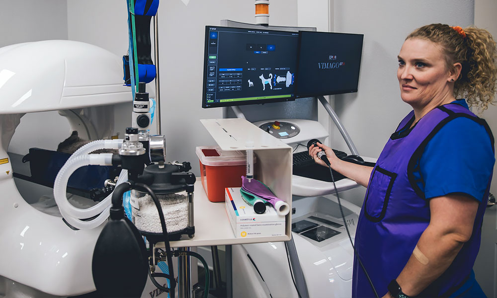 photo of veterinarian performing Fluoroscopy using a Vimago GT30 CT Scanner