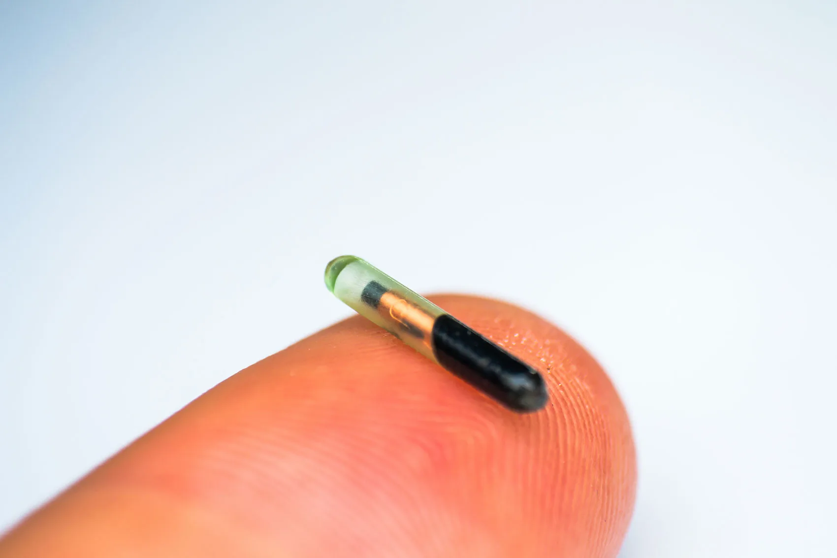 Pet microchip on human finger