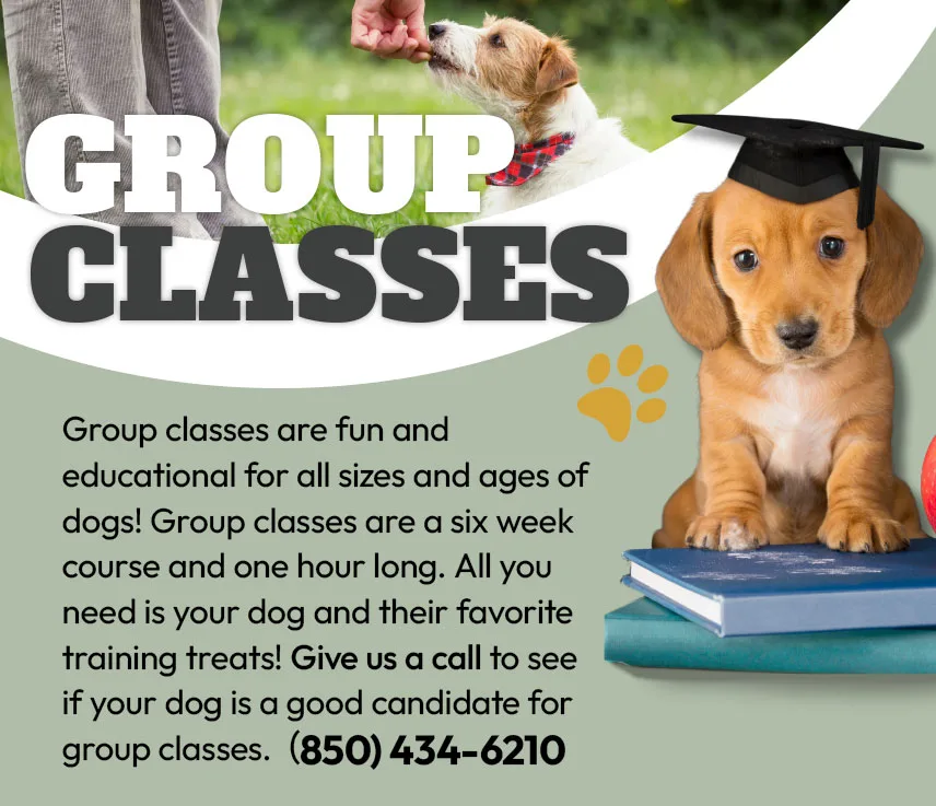 group classes image