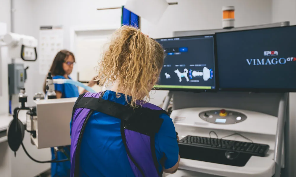 staff and doctor operating the Vimago CT Scanner