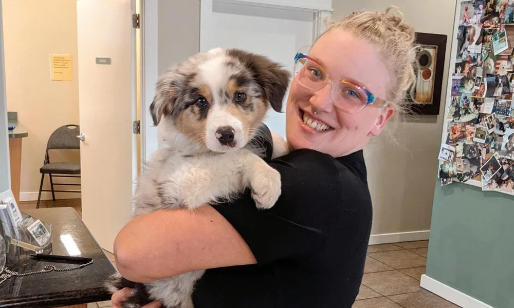 photo of a woman holding an Aussie Puppy