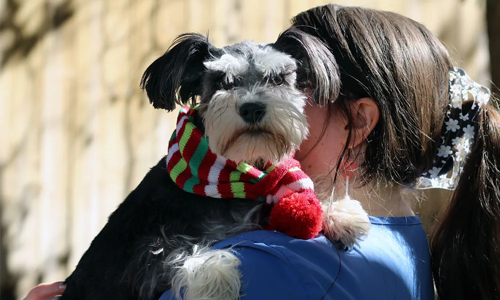 woman holding a dog named Marley