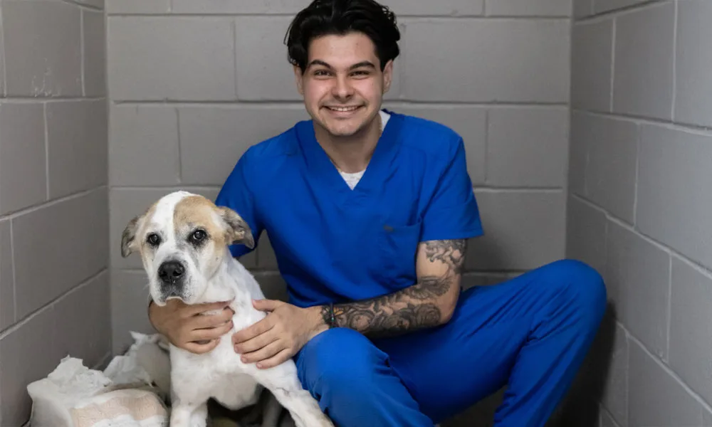 photo of a dog and minder in a boarding room kennel