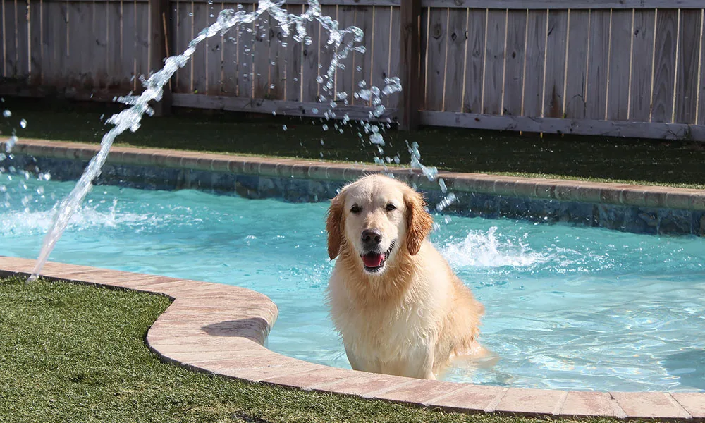 photo of Samantha playing in a pool