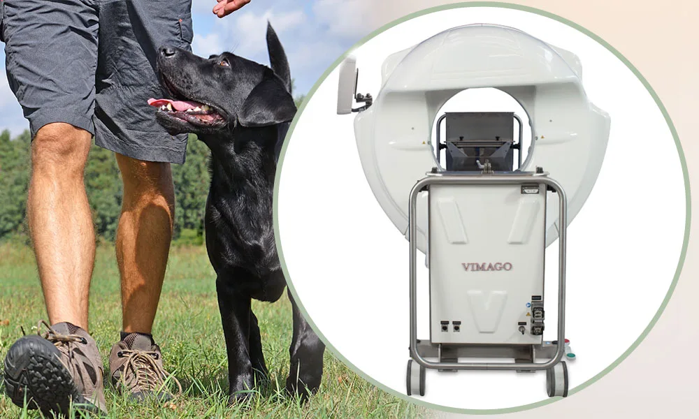 GT30 CT with dog and owner