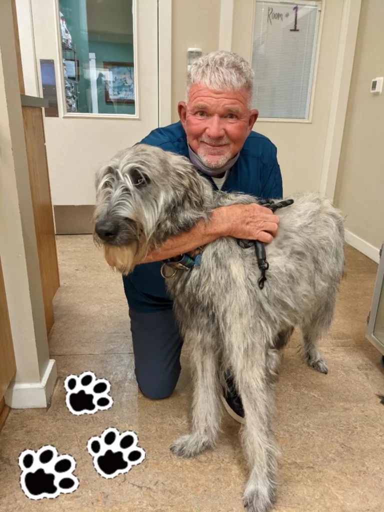 this is a picture of Dr McDaniel at East Hill Animal Hospital Pensacola Florida