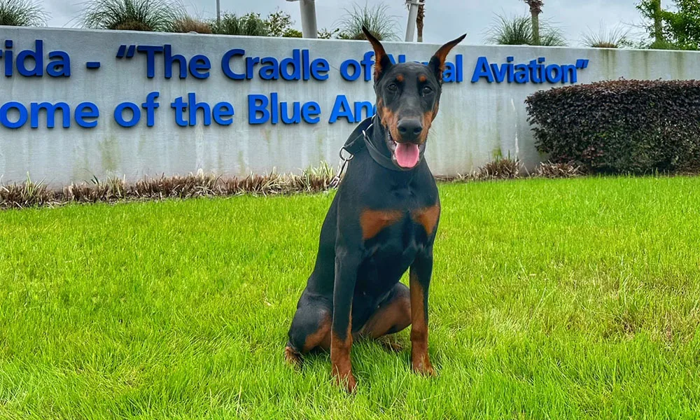 Luna poses with the blue angels